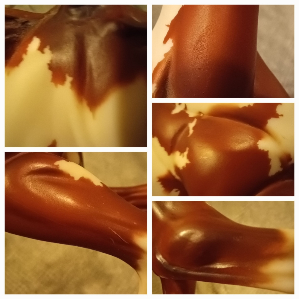 Breyer Hidalgo - Picture 7 of 16